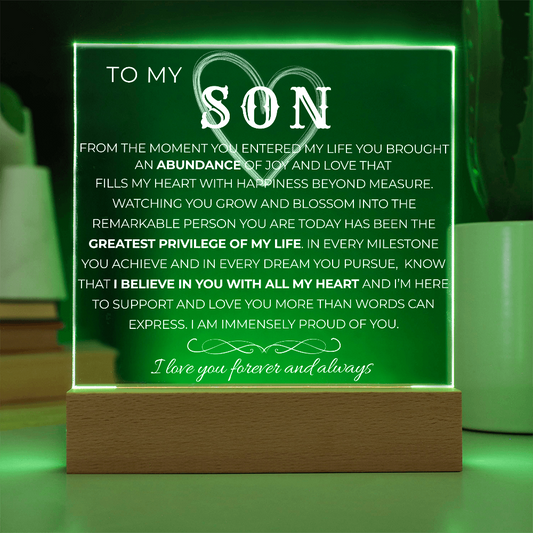 To My Son |  Greatest Privilege of My Life | Acrylic Plaque