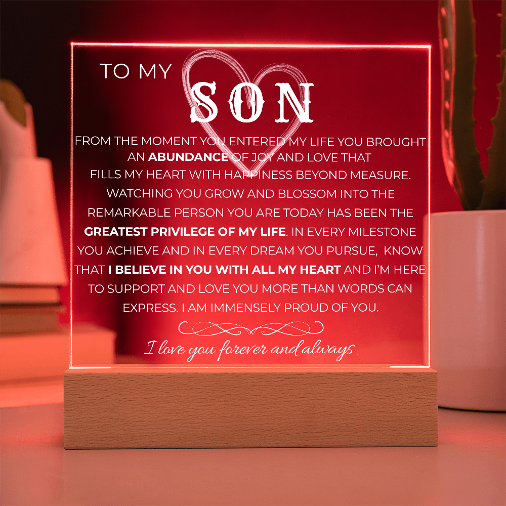 To My Son |  Greatest Privilege of My Life | Acrylic Plaque