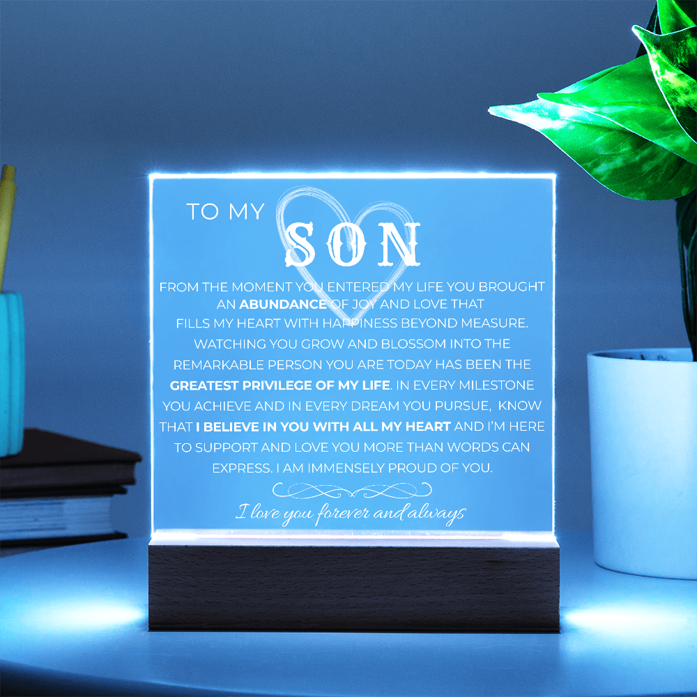 To My Son |  Greatest Privilege of My Life | Acrylic Plaque